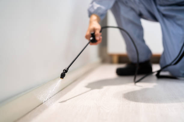 Certified termite inspector examining foundation in Ketchum